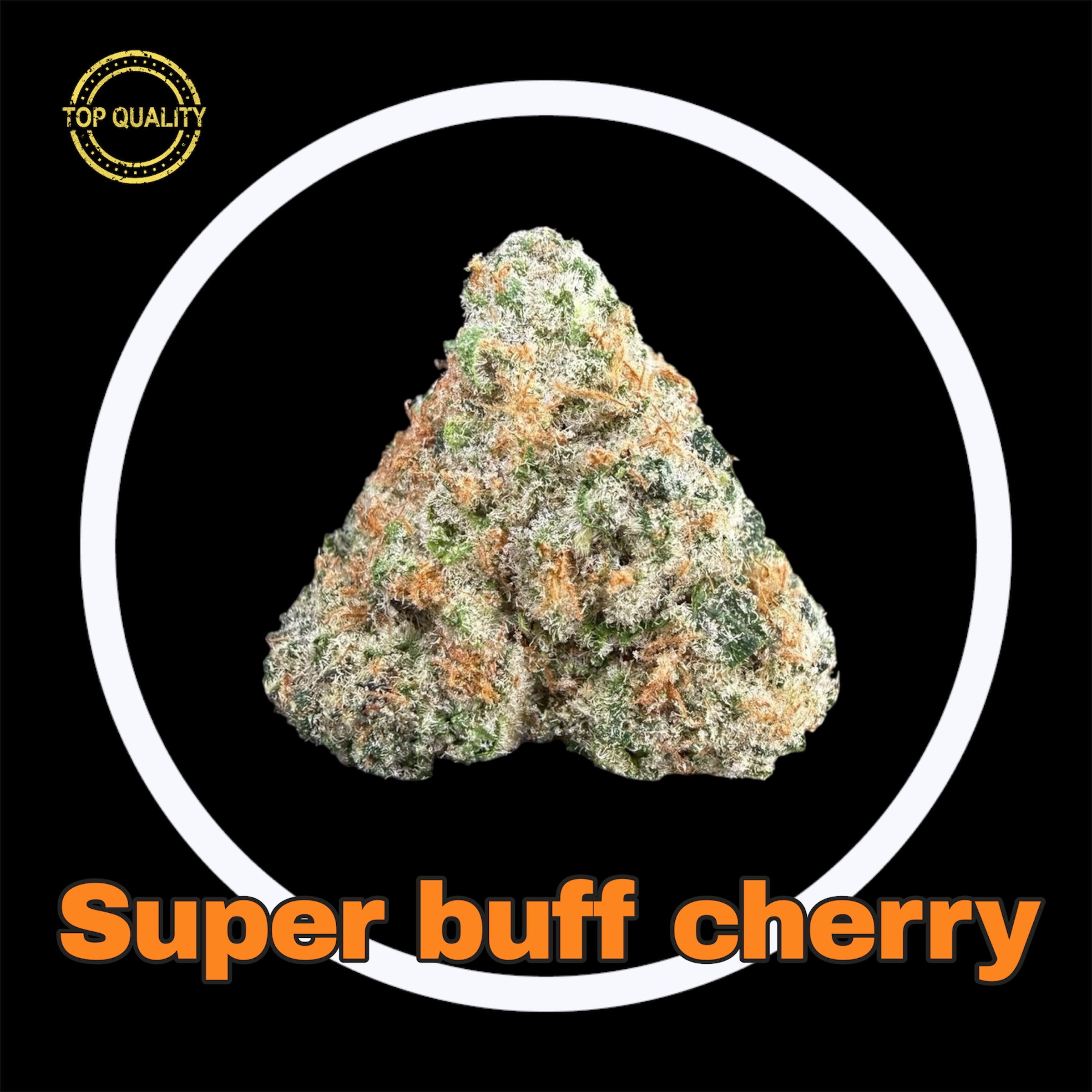 17-03-26 10-53-08pm.jpg